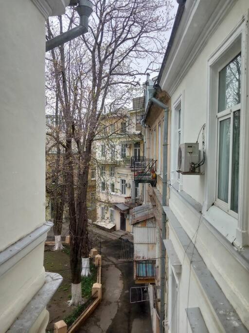 White Door Apartments Heart Of Odessa 1 Exteriör bild